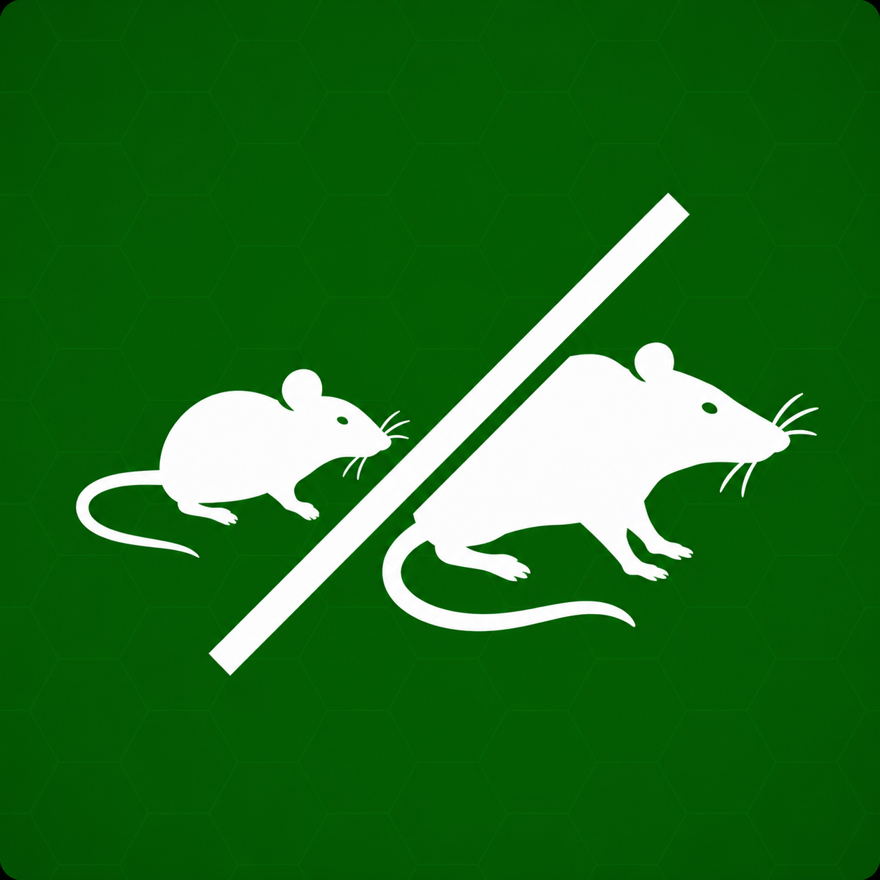 Souris et rats Afbeelding