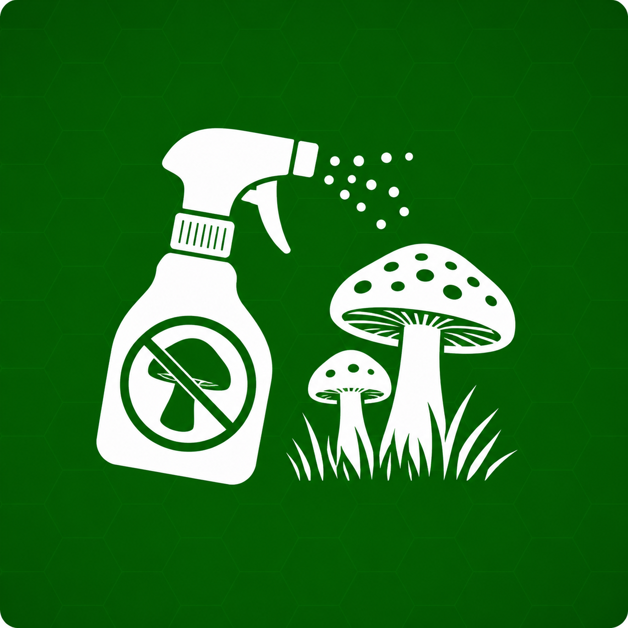 Champignon sur la pelouse Afbeelding