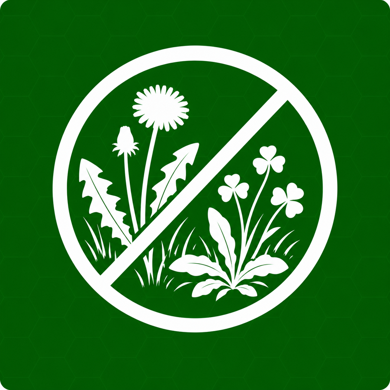 Mauvaises herbes sur la pelouse Afbeelding